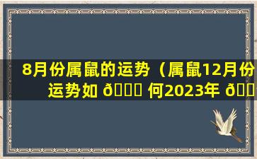 8月份属鼠的运势（属鼠12月份运势如 🐝 何2023年 🌳 ）